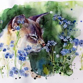Кот в незабудках (Cat in Flowers)