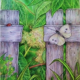 Заброшенный сад