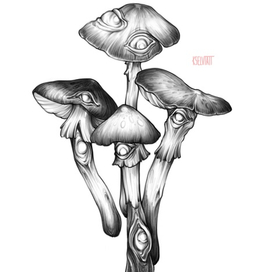 вариации мухоморов