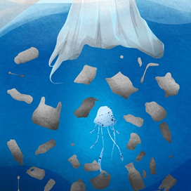 Загрязнение мирового океана