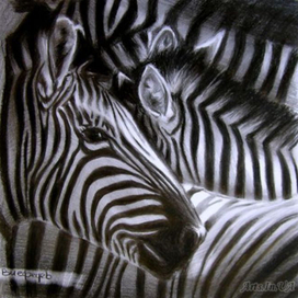 Черно-белый квадрат