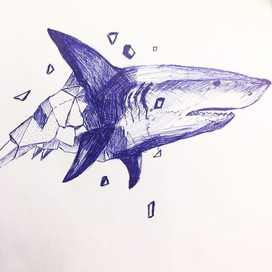 shark