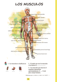 страница из медицинской книги