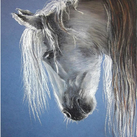 лошадь_пастель