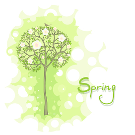 весеннее дерево