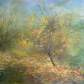 дерево под окном