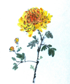 "проба пера" в китайских техниках. Хризантема