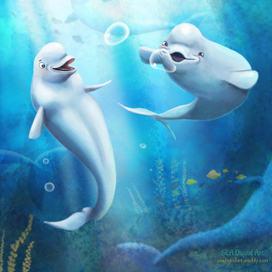 Белухи и пузыри для веселухи:)