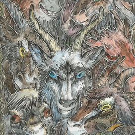 Сколько здесь морд? =)