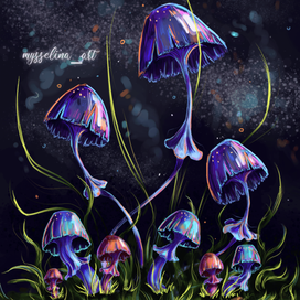 magic mashrooms