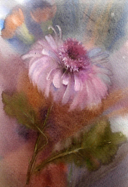 хризантема и гвоздики