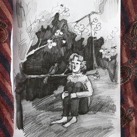 Мак в солнечном саду