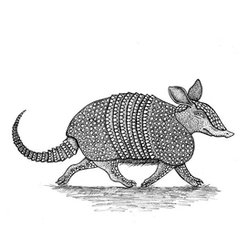 Броненосец