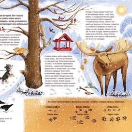 Разворот для активити энциклопедии