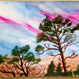 Рассвет где-то в лесу