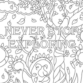 Never Stop Exploring