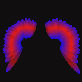 крылья ангела