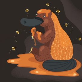 Медовый утконос