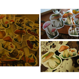 Акварель, осень, грибы.