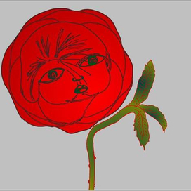 Красная Роза