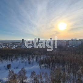 Ноксинский Лес  восток