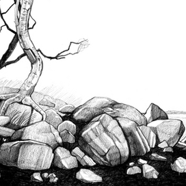 Камни. Соловки.