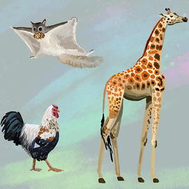 Зарисовки животных