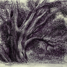 из серии "в Коломенском"