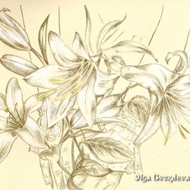 Марафон "Мягко о стихах" 2 день