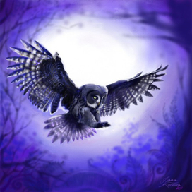 Blue Owl