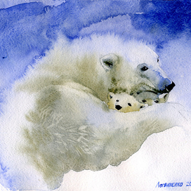 Белые медведи. Материнство.