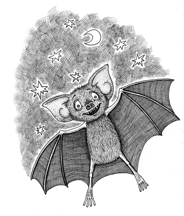 Летучая мышь