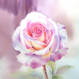 "Роза. После грозы"