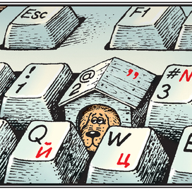 Собачья жизнь