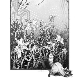 Олимпиады будущего.Ч.б-6