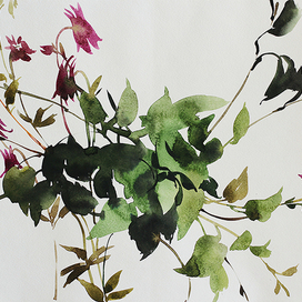 Березовые ветки