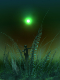 навстречу приключениям