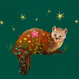 Баргузинский соболь