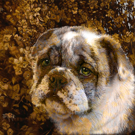 календарь проба