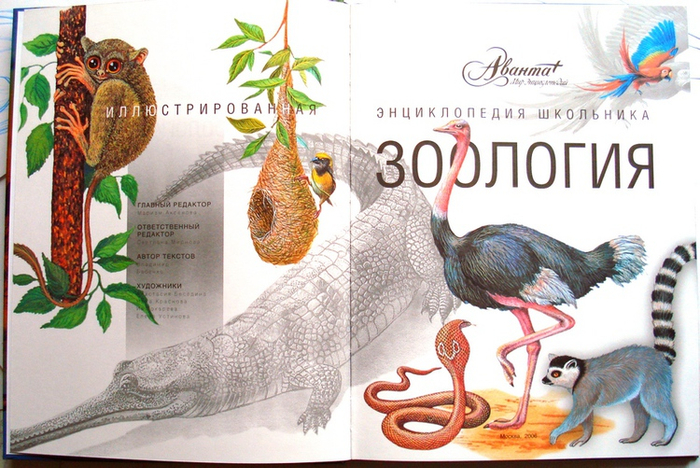 Зоология Аван-титул