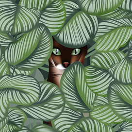 Bengal cat and Calathea orbifolia