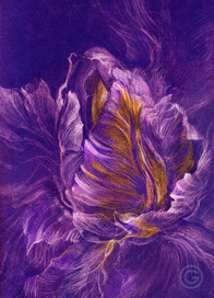 "Цветуший папоротник"