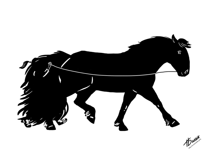 Нюансы работы на вожжах больших лошадей