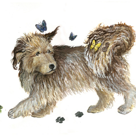 Собачьи мечты