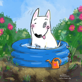 жара бассейн пес