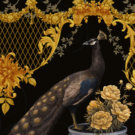 Черный павлин