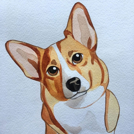 Милый корги