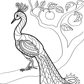 Для раскрасок