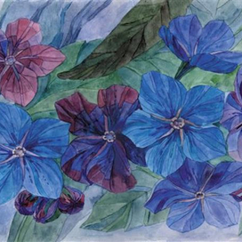 Незабудки. Краски июня.