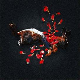 МЁРТВЫЙ ЗАЯЦ